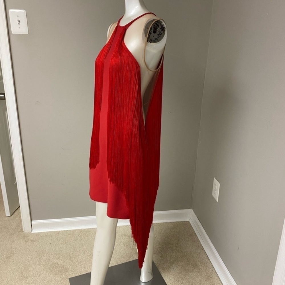 Sleeveless Illusion Wing Fringe Stretch-cady Mini Dress - Picture 7 of 13